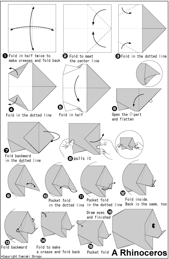   A 
Rhinoceros