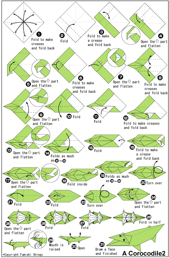 A Corocodile2