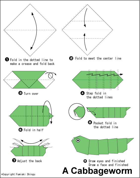 A Cabbageworm