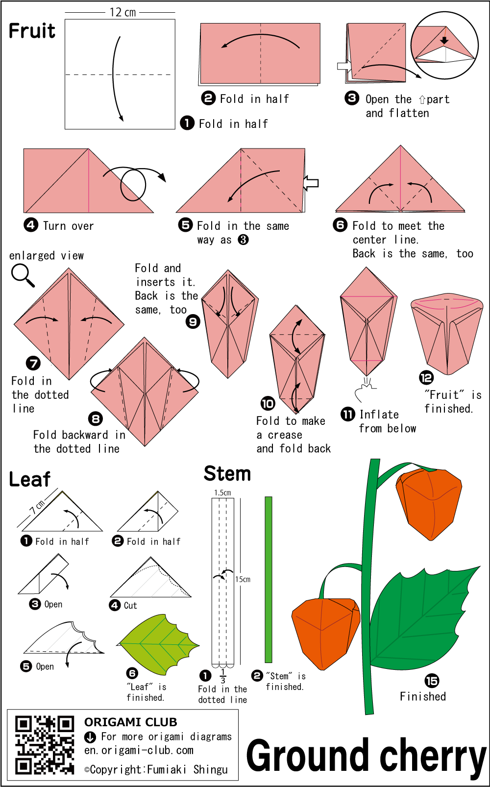 Chinese lantern plant