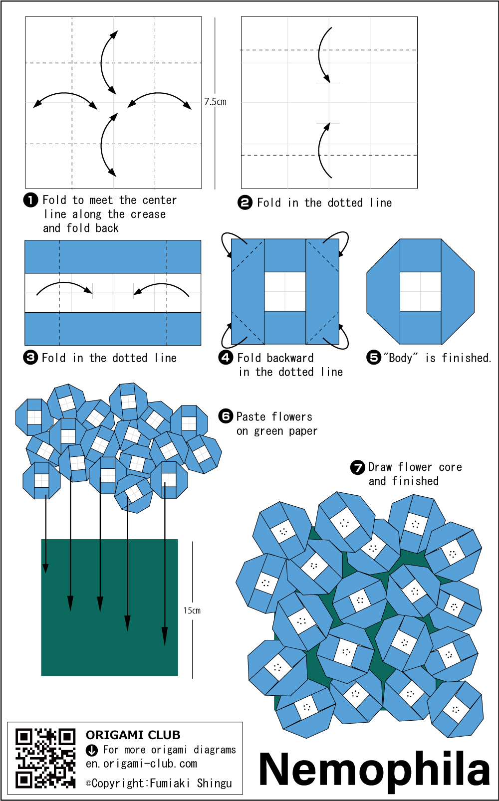 Nemophila