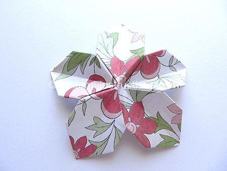 origami-modular-5-petal-flower