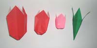 Origami Rose flower photo diagrams 10