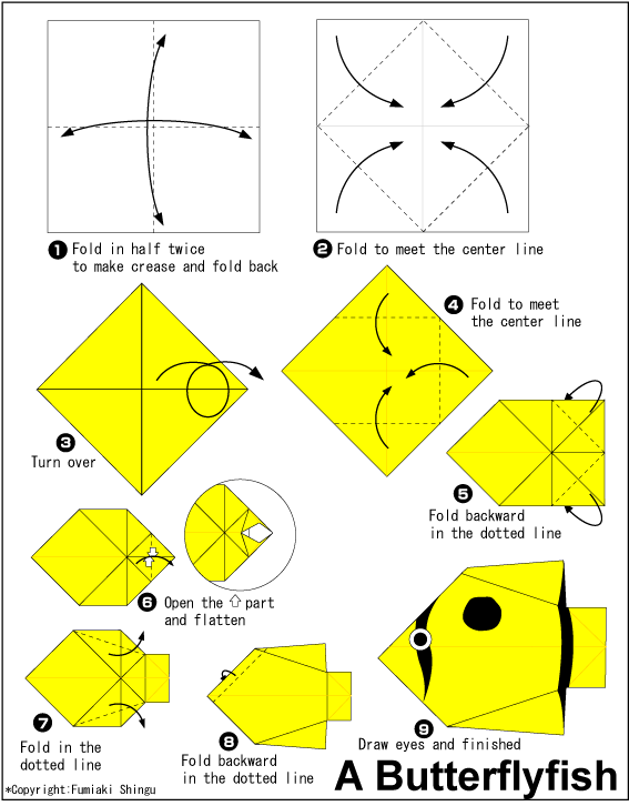 A Butterflyfish