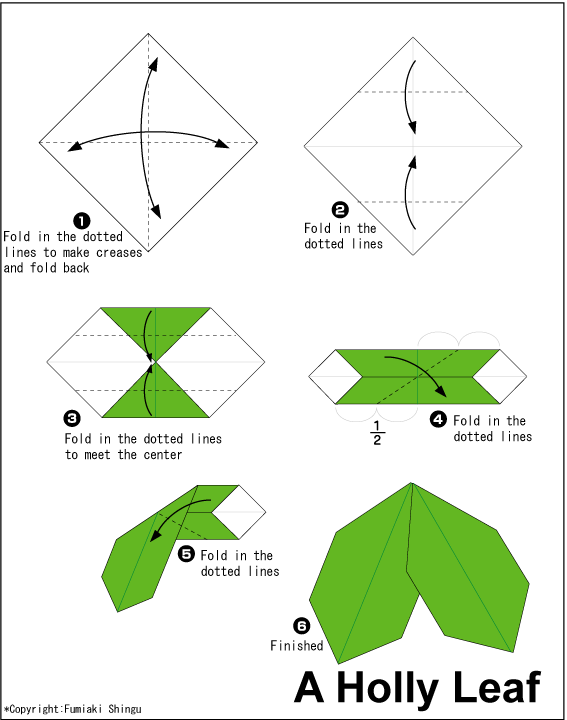 A Holly Leaf